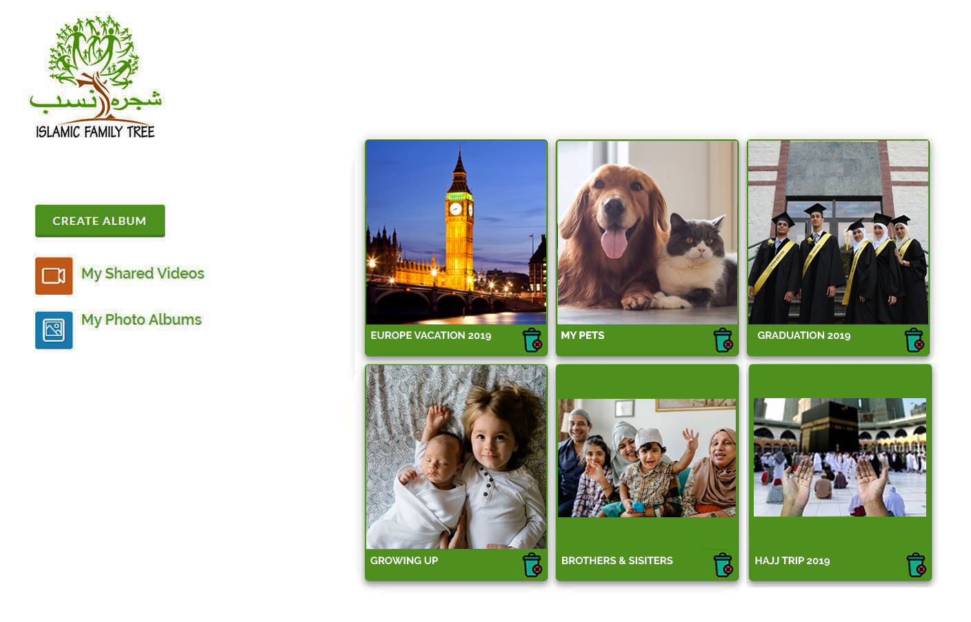 Assistance In Organizing Photos / Video
